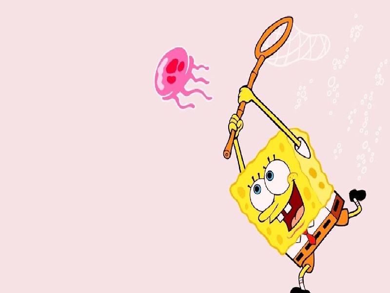 北京最靠谱的代生,代生咨询：在北京公立医院可